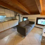 Rent 2 bedroom apartment of 40 m² in L'Aquila