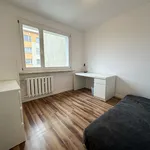 Rent 3 bedroom apartment of 65 m² in Chełm