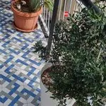 Rent 5 bedroom apartment of 105 m² in Bari