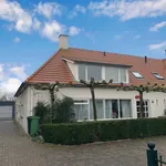 Rent 3 bedroom apartment of 116 m² in Vlijmen-Dorp