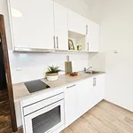 Rent 1 bedroom apartment of 34 m² in Brno