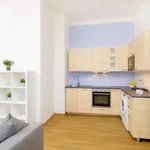 Rent 1 bedroom apartment in prague