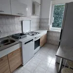 Rent 3 bedroom apartment of 52 m² in Łódź