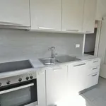 Rent 2 bedroom apartment in Monthey