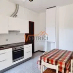 Rent 1 bedroom apartment of 50 m² in Legnano