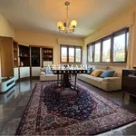 Rent 6 bedroom house of 150 m² in Pietrasanta