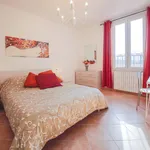 Rent 2 bedroom apartment of 50 m² in Florence