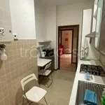 Rent 3 bedroom apartment of 80 m² in Piacenza