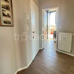 Rent 2 bedroom apartment of 75 m² in Milano