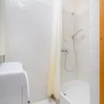 Rent 1 bedroom apartment in Prague