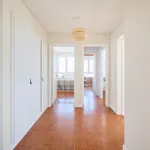 Rent 10 bedroom apartment in Lisbon