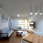 Mieszkanie w apartamentowcu wysoki standard 56,48 m² na wynajem ul. Kopernika, Oleśnica, Serbinów