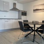 Rent 1 bedroom apartment of 58 m² in Geldrop