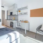 Rent 1 bedroom apartment in Florence