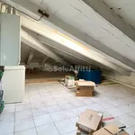 Affitto 3 camera appartamento di 65 m² in Grosseto