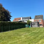 Huur 4 slaapkamer huis van 1050 m² in Dikkelvenne