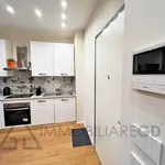 Rent 2 bedroom apartment of 50 m² in Torino