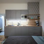 Rent 1 bedroom apartment of 30 m² in Prague