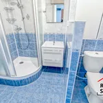 Rent 2 bedroom apartment in Frýdek - Místek