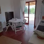 Appartamento arredato con terrazzo Centro