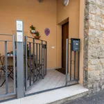 Rent 1 bedroom apartment of 40 m² in Florence