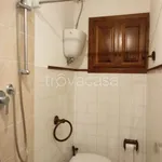 Rent 1 bedroom apartment of 19 m² in Siena