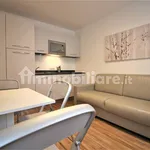 1-bedroom flat via del Colle 40, Borgata Sestriere, Sestriere