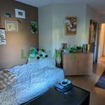 Rent 1 bedroom apartment of 23 m² in Dijon