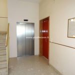 Rent 3 bedroom apartment of 110 m² in Cremona