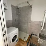 Rent 2 bedroom apartment of 60 m² in Milan