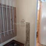 Rent 5 bedroom house of 1000 m² in Budapest