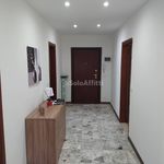 1-bedroom flat viale Trieste, Centro, Sassuolo