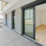 Rent 3 bedroom apartment of 66 m² in Vienna