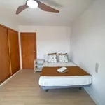 Rent 5 bedroom apartment in Valencia