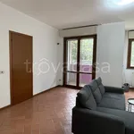 Rent 3 bedroom apartment of 100 m² in Rozzano