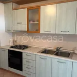 Rent 4 bedroom apartment of 120 m² in Udine