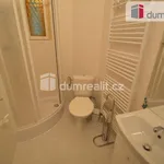 Rent 1 bedroom apartment of 30 m² in Prague