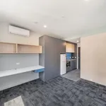 Rent 1 bedroom student apartment in Hawthorn