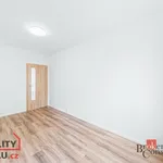 Rent 3 bedroom apartment in Rokycany