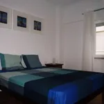 Rent 1 bedroom apartment in Lisbon