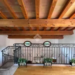 Rent 3 bedroom apartment of 180 m² in Asolo