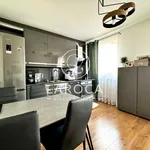 Rent 2 bedroom apartment of 46 m² in Toruń