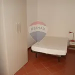 Rent 2 bedroom apartment of 45 m² in Palermo