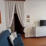 Rent 2 bedroom apartment of 40 m² in Follonica