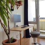 Rent 1 bedroom apartment of 30 m² in München