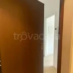 Rent 3 bedroom apartment of 120 m² in Milano