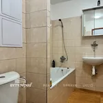 Rent 1 bedroom apartment of 38 m² in Plzeň