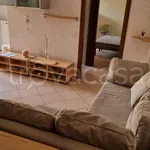 Rent 2 bedroom apartment of 45 m² in Vigevano