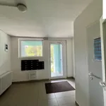 Rent 3 bedroom apartment of 75 m² in Brno