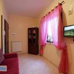 Rent 2 bedroom apartment of 60 m² in Trapani